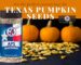APS in front of pumpkins and seeds